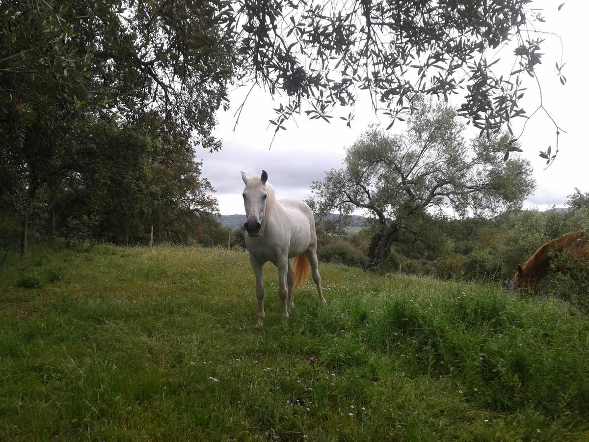 Finca La Carnicera Константина Экстерьер фото