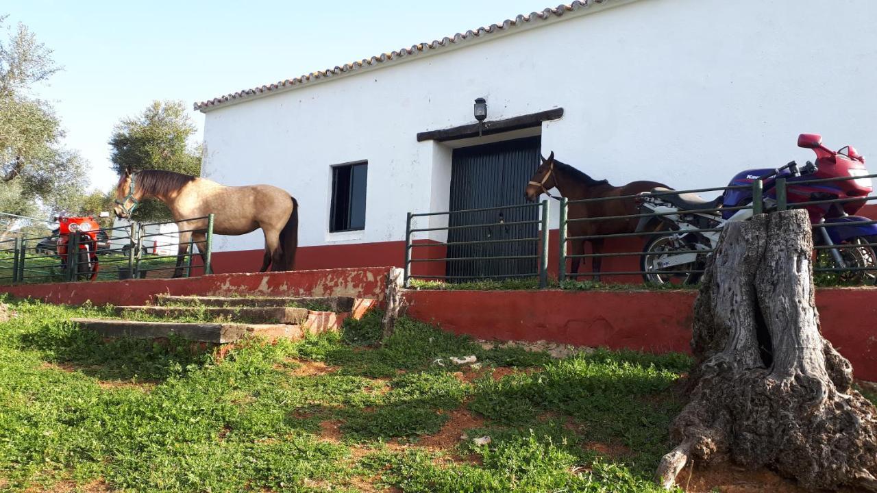 Finca La Carnicera Константина Экстерьер фото