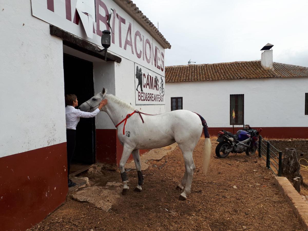 Finca La Carnicera Константина Экстерьер фото