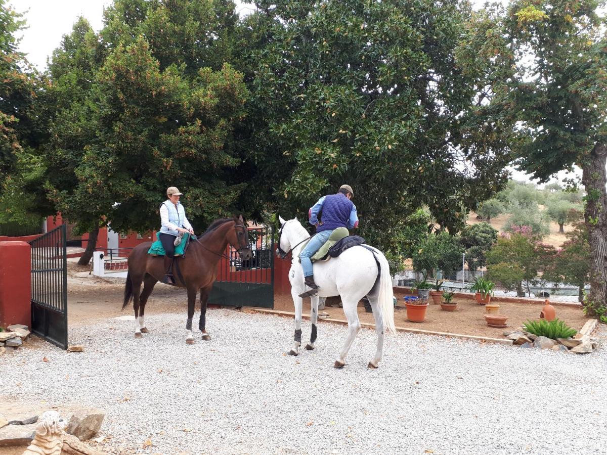 Finca La Carnicera Константина Экстерьер фото